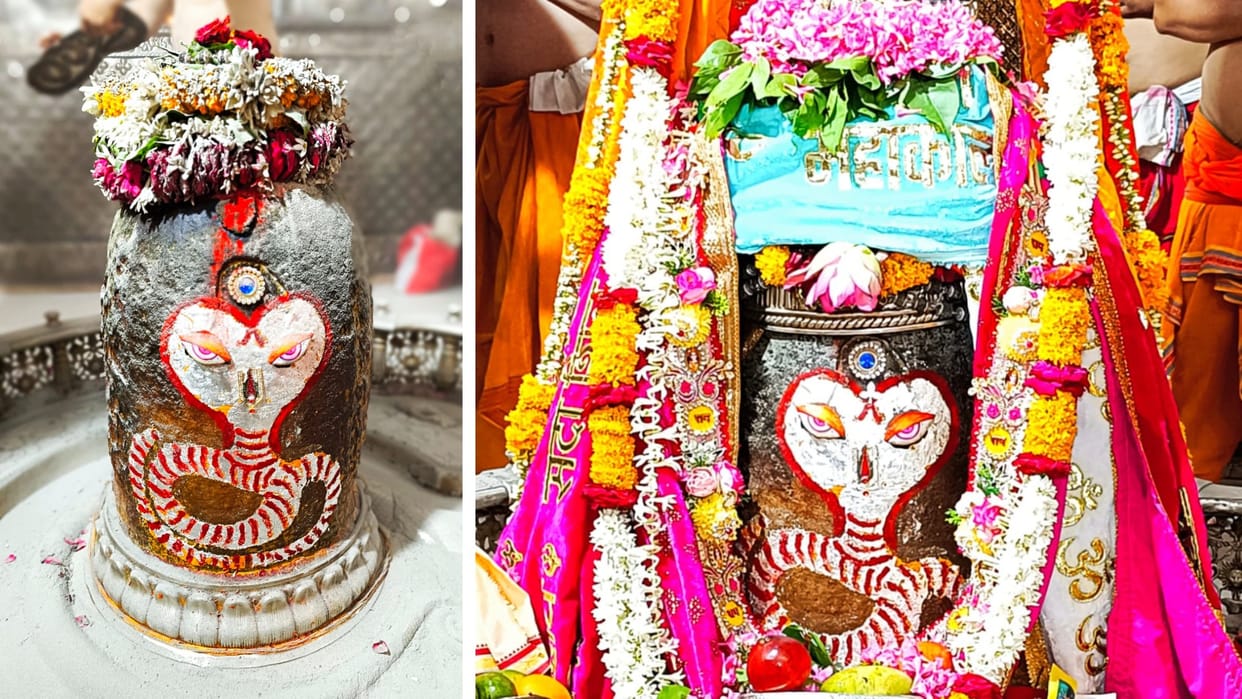 Ujjain Mahakal: In Bhasma Aarti, Shivalinga of Baba Mahakal was decorated with snake