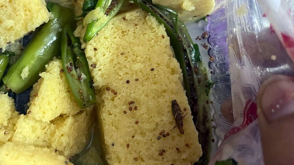 Cockroach found in dhokla in Abohar dispute between sweet shop owner and customer