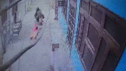 two accused dragged girl from bike and snatch bag from her in Firozpur