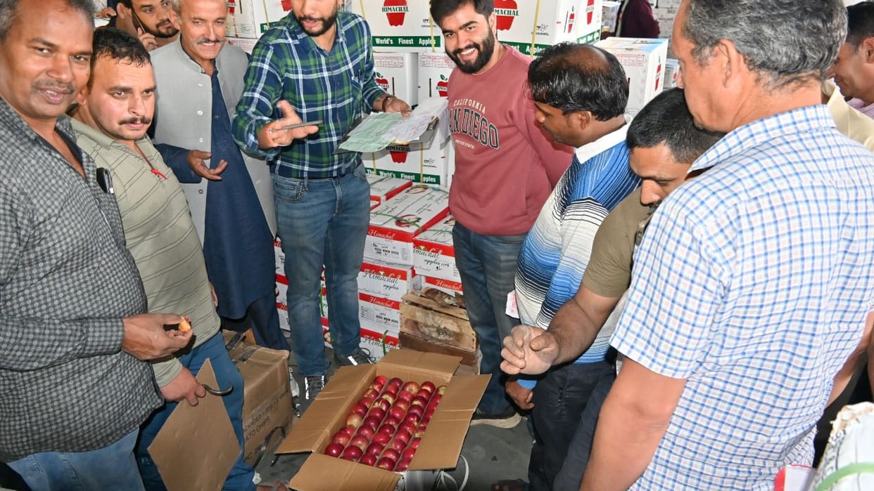 Bhattakufer Fruit Market Tideman apple arrival increased box sold for Rs 1100 to 1500