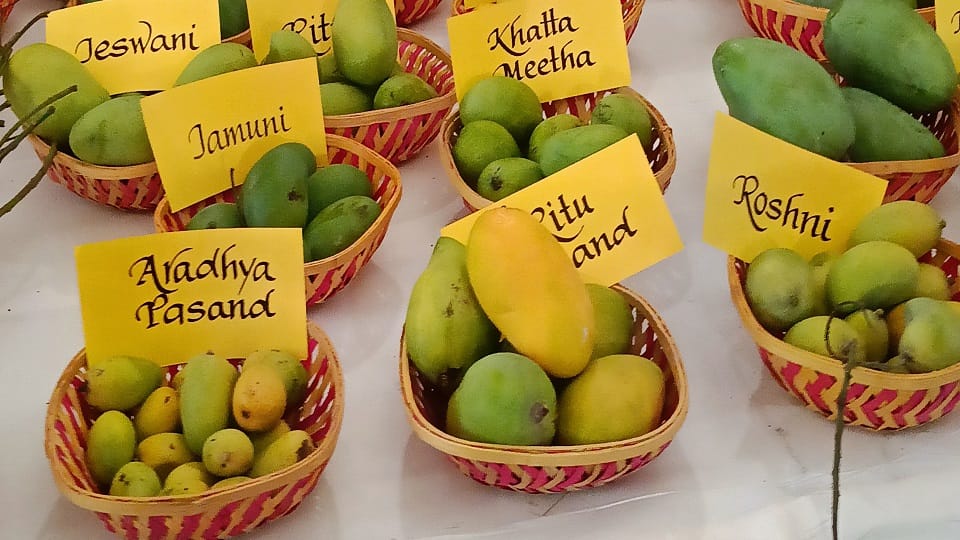 Delhi: Mango festival begins in Janakpuri