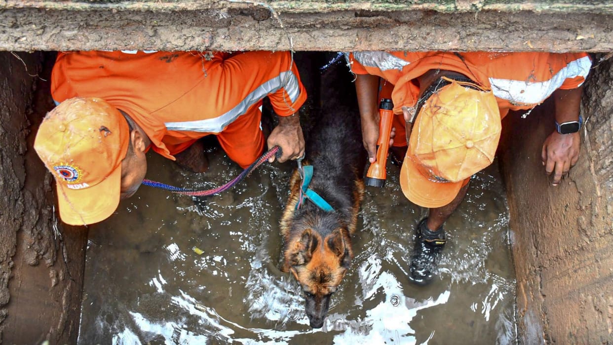 Man's search for missing son in Guwahati drains yields no result on 3rd day, CM consoles parents