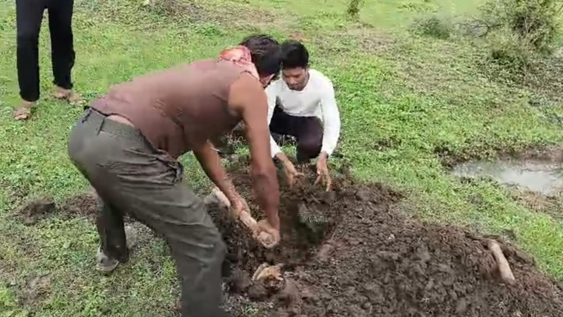 कुल्हाड़ी की मूंद से पीट पीटकर हत्या