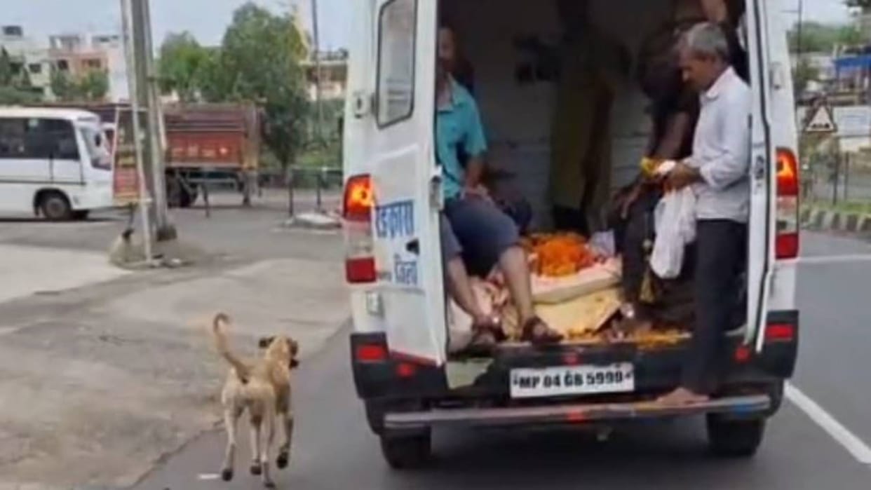 Rajgarh After death of owner dog ran 3 km behind funeral vehicle to Muktidham viral on social media