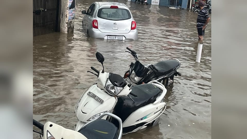 orange alert for punjab today weather update news