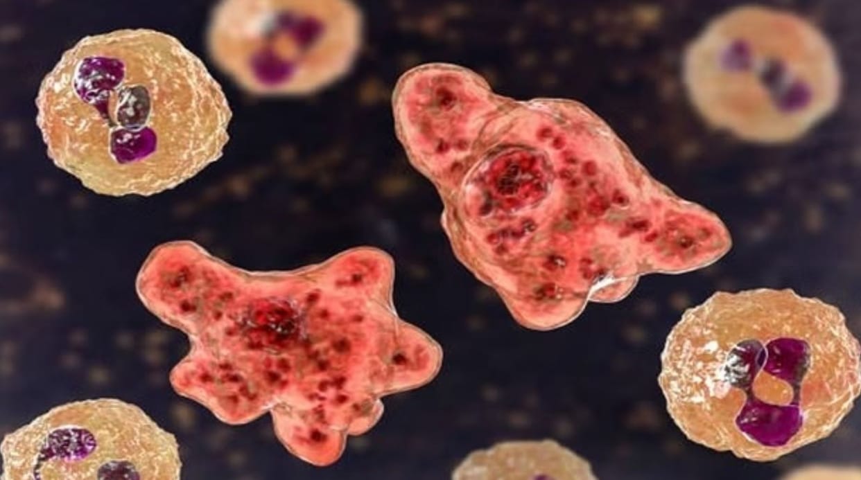 Amoeba Fourth patient found in Kerala NCDC issues instructions to all states