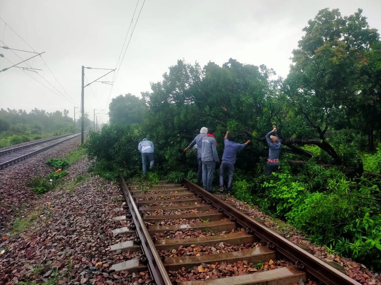 Amethi News: Tree fell on the track, operation of Varanasi-Lucknow shuttle affected