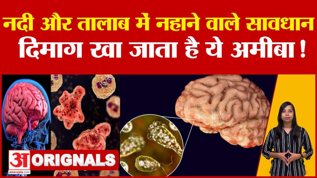 Brain Eating Amoeba: नदी और तालाब में नहाने वाले सावधान, दिमाग खा जाता है ये अमीबा! | Rajasthan New