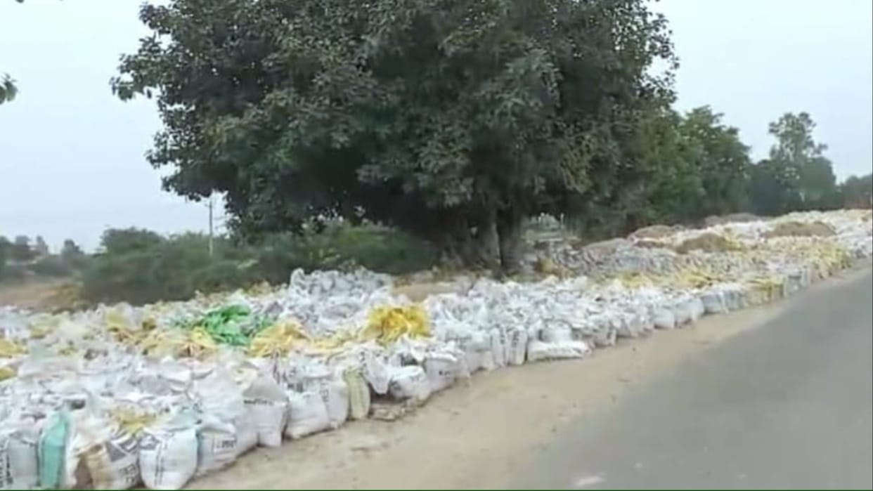 Sirsa: Rain water started coming into Ghaggar, villagers of coastal villages are getting scared
