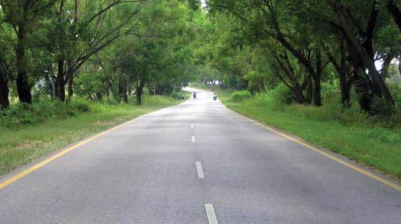 LDA app will show how much carbon tree is absorbing In Lucknow