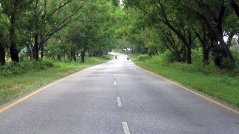 Punjab's Tree cover decreased by 9.06% in six years forest cover is also less