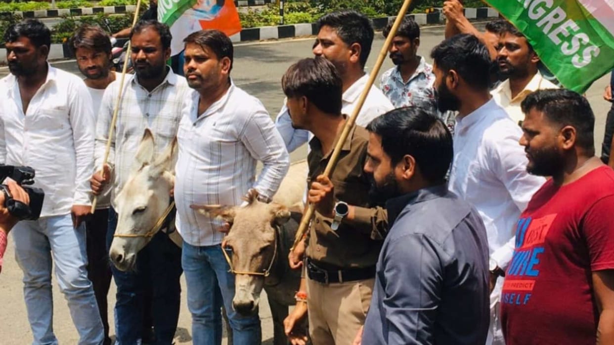 Unique demonstration of Congress, reached Sarang's bungalow to present him a donkey demanding his resignation.
