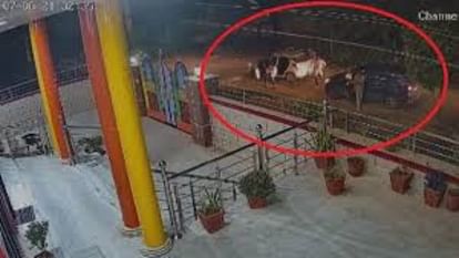 Jaipur News: YouTubers kidnapped in film style at gunpoint, police engaged in investigation