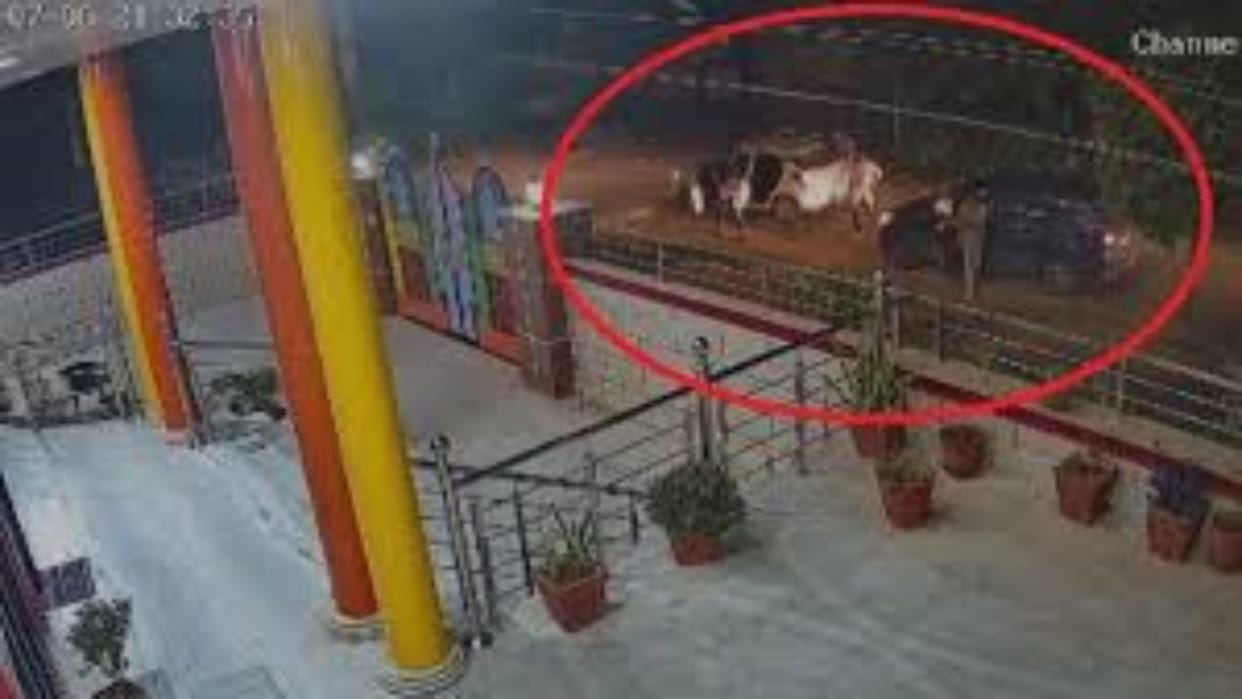 Jaipur News: YouTubers kidnapped in film style at gunpoint, police engaged in investigation