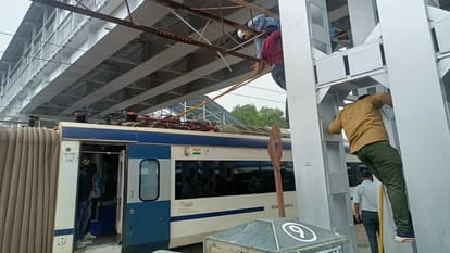 Peacock dies after getting stuck in pantograph of Vande Bharat Express
