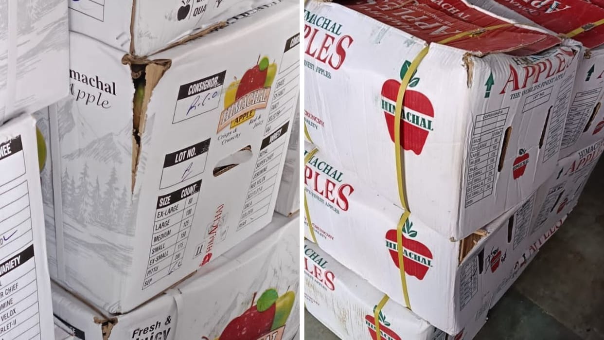 Bad quality of universal cartons fear of apples and pears getting spoiled