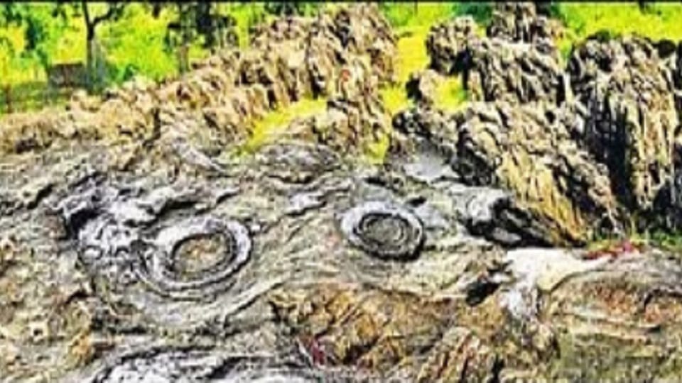 The fossil with the help of which America is earning crores of rupees is not even valued in India.