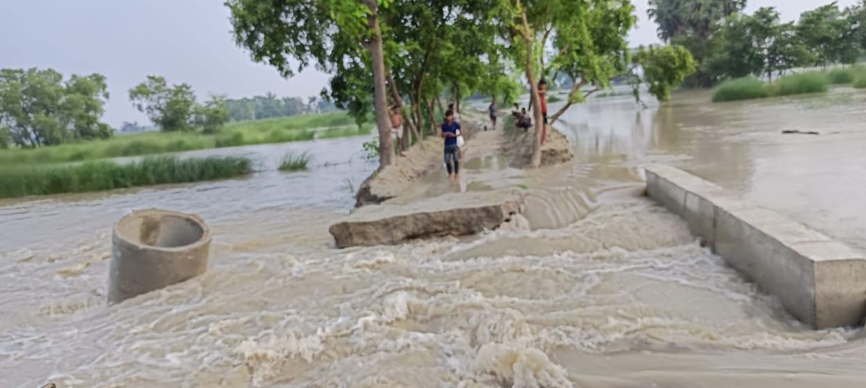 Bihar News: Bridge under construction in Sangrampur of Motihari collapsed, Gandak river, strong flow, flood.