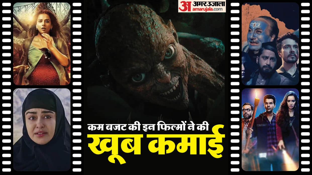 Low budget movies earns well at box office the kashmir files the kerala story munjya stree badhai ho