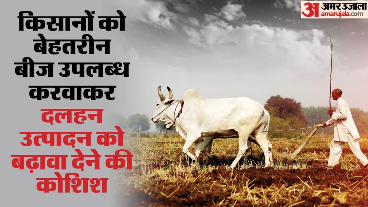 Other people pulses will not be digested in UP, state will soon become self-sufficient in pulses production