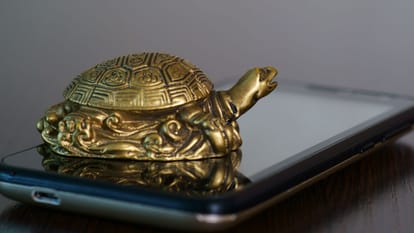Feng Shui Tips For Home Never wear shoes when entering the house stress may increase