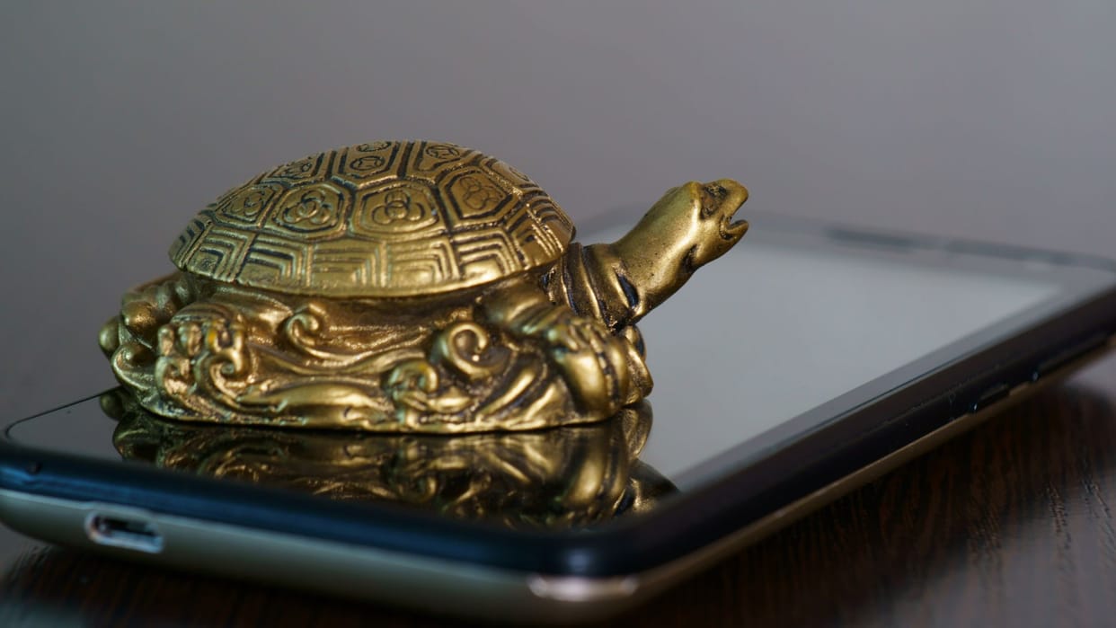 feng shui tips keep 5 items of feng shui at your home in hindi