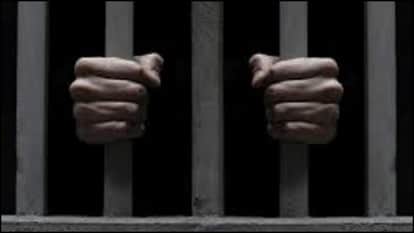 Narsinghpur news Kalyugi son accused of murdering mother goes to jail