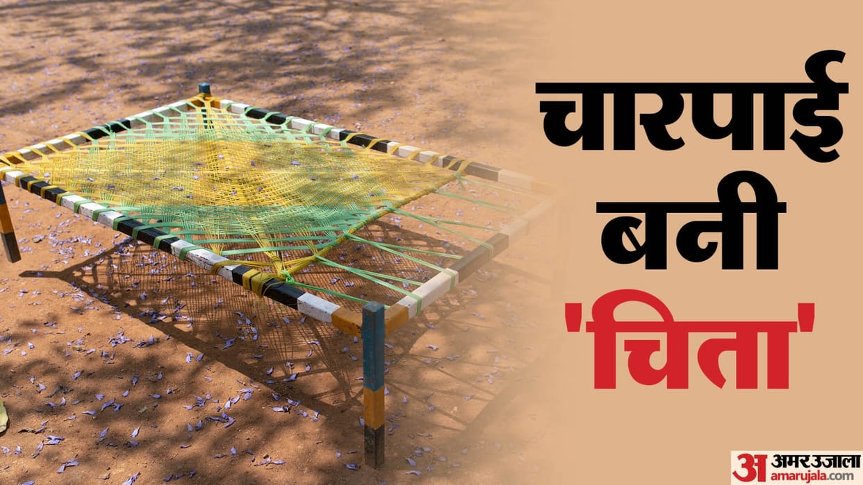 Grandson and great grandmother died due to snake bite in Bulandshahr