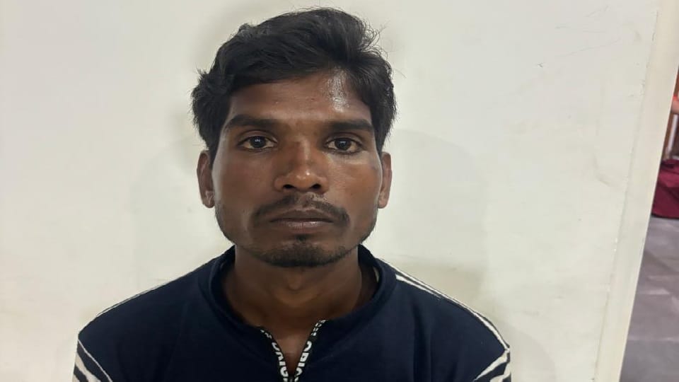 Son kills mother due to delay in giving food in Balrampur