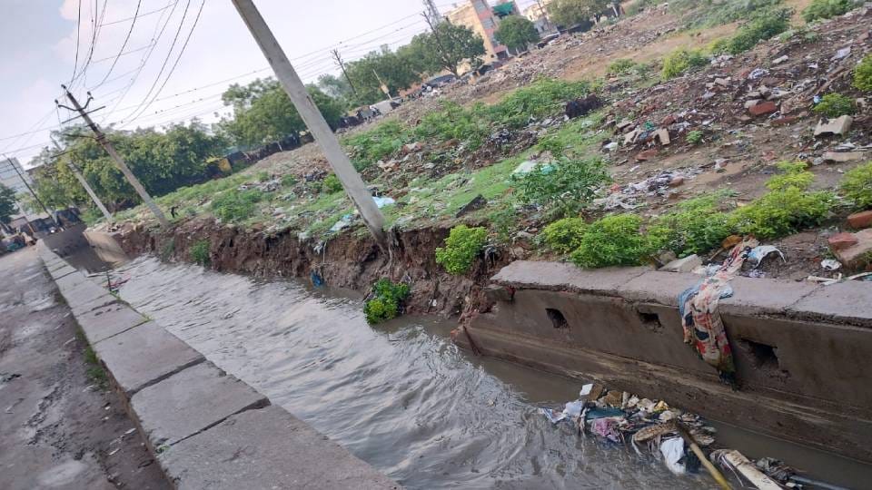 committee investigated collapse of roads in Dayalbagh in Agra