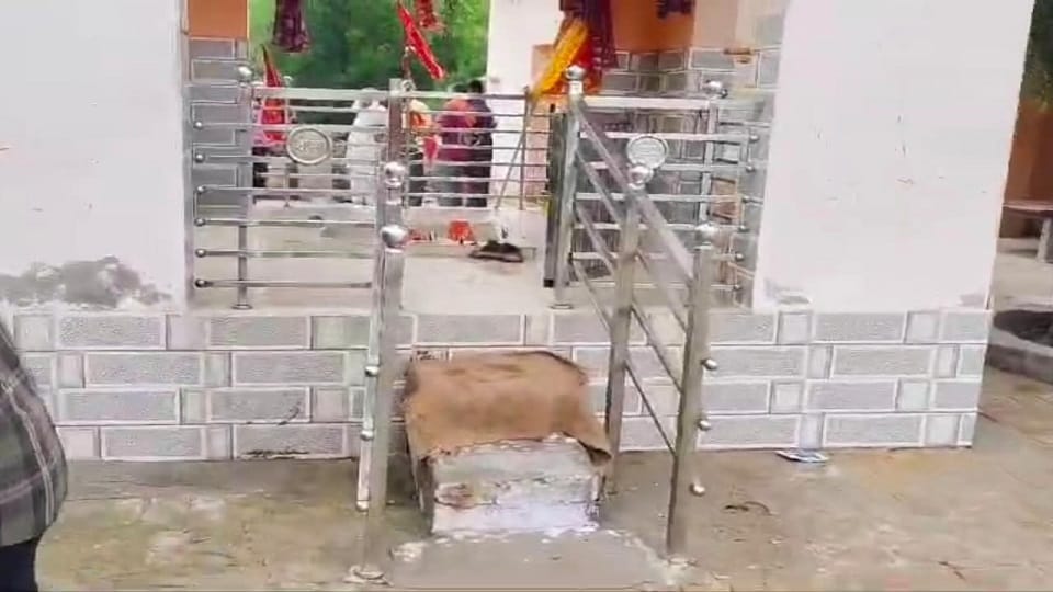 Goat sacrificed in Surir's Chamad temple