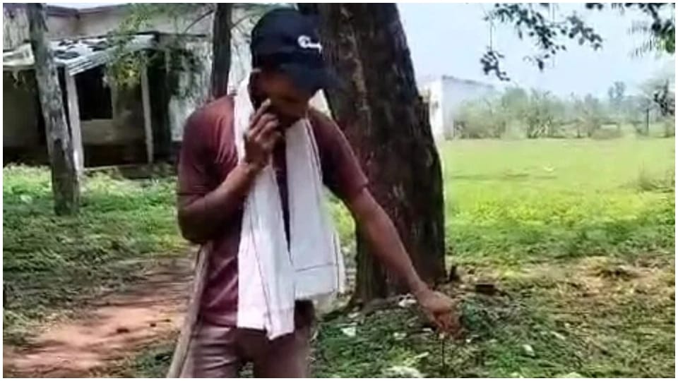 Serpent entered Tendukheda SDM office, employees started running, snake expert caught it.￼