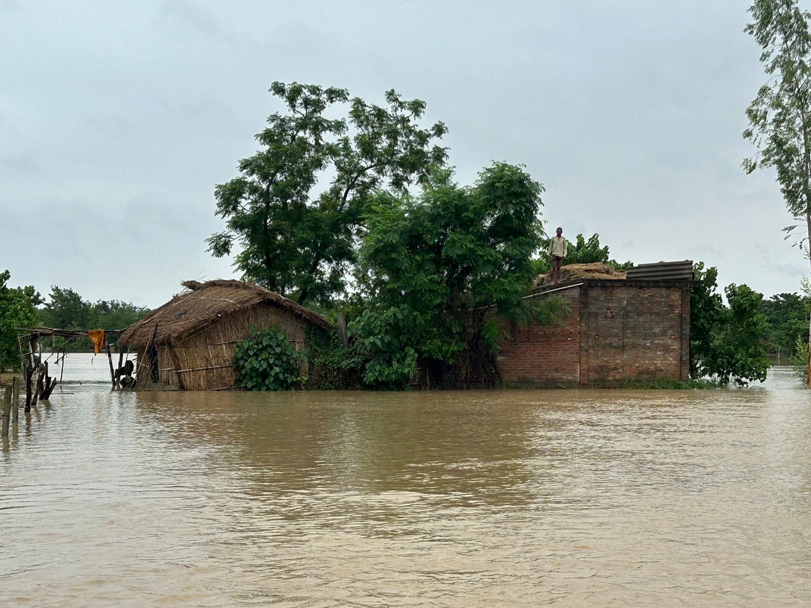 Flood like situation in Shravasti because of Rapti river.
