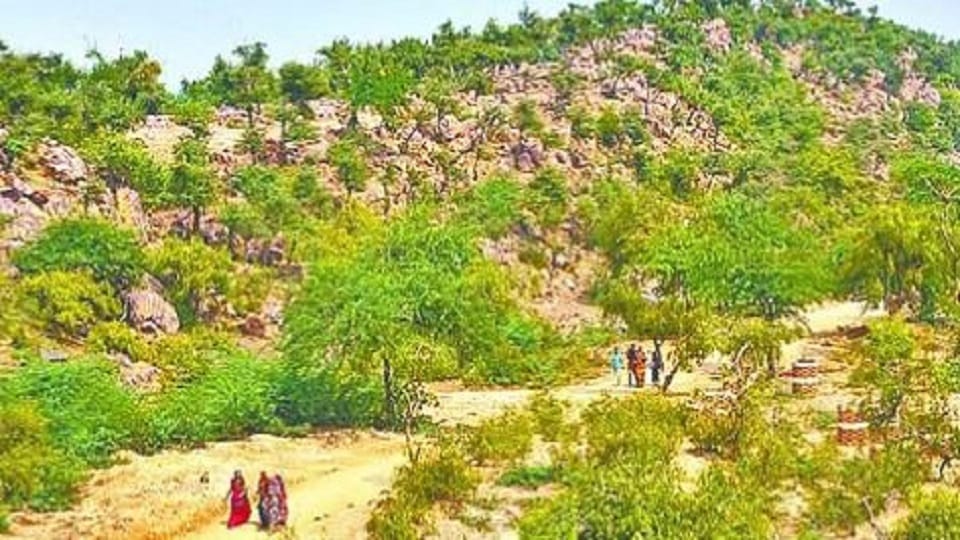 Young man defecated on Giriraj mountain, got picked up with hands