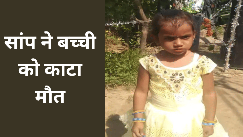 indore news snake attack child died