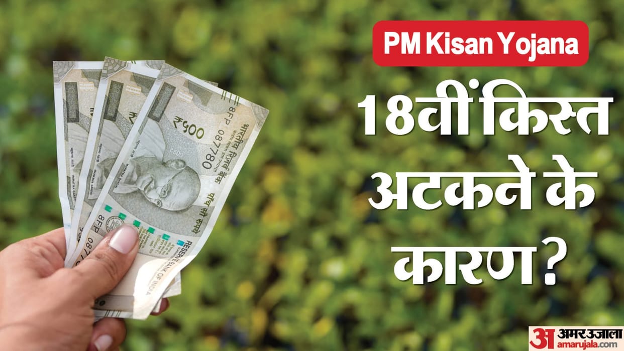 PM Kisan Yojana: which beneficiaries will not get th benefits of 18th kist