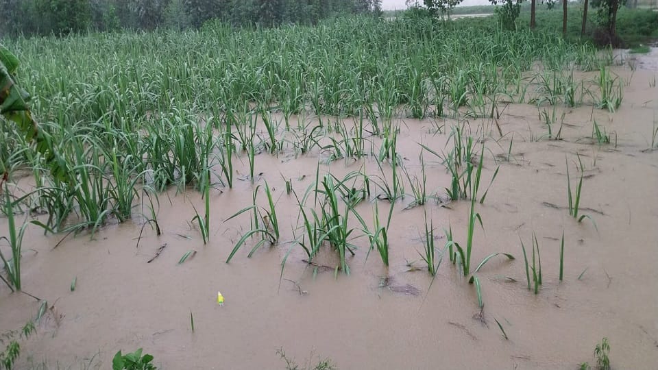 Water entered Malwa Farm and Hempur Ismail Nai Basti in kashipur