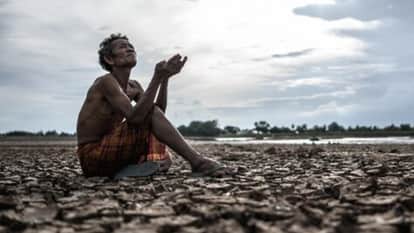 अमरावती मंडल में पिछले छह महीने में 557 किसानों ने की आत्महत्या