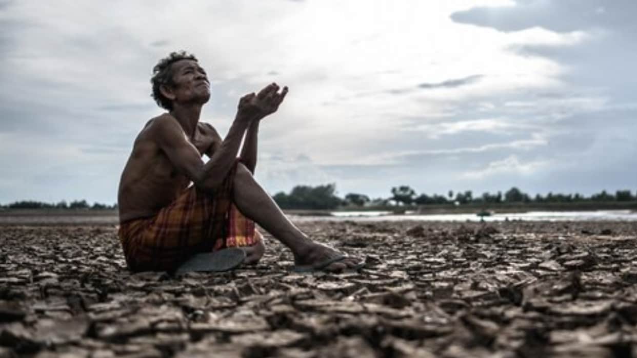 557 farmers ended lives in 6 months this year in Maharashtra's Amravati division: Govt report