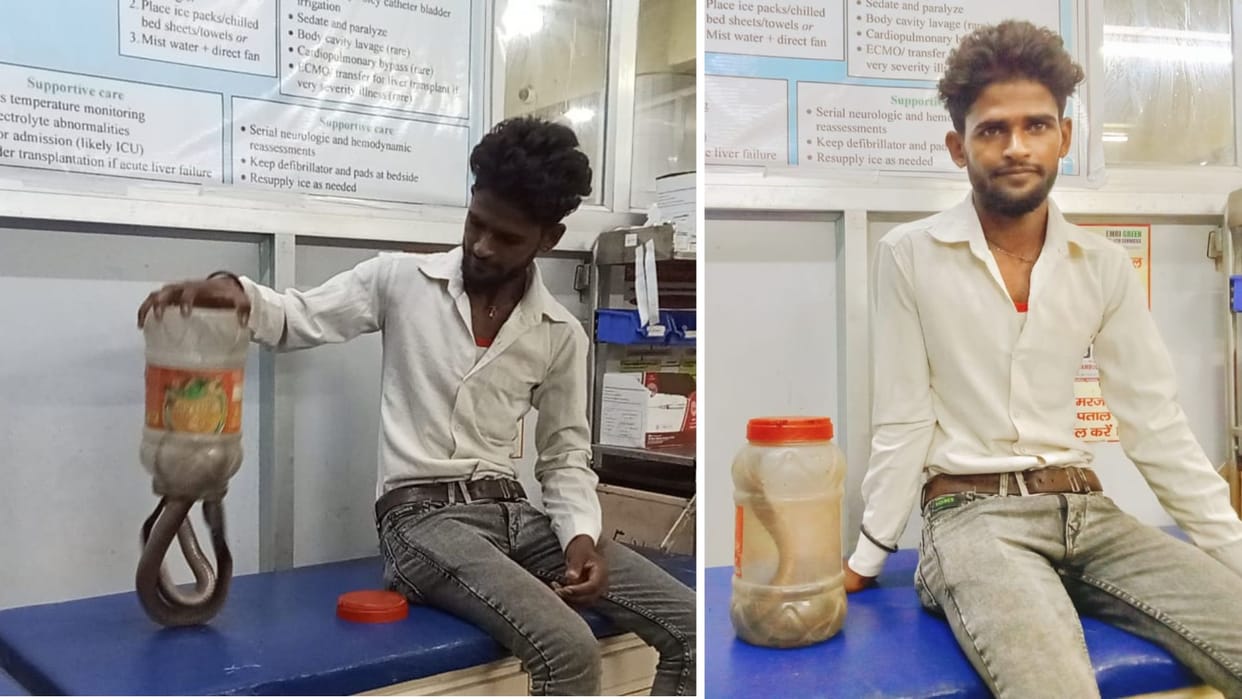 young man reached hospital after being bitten snake in mirzapur everyone was surprised