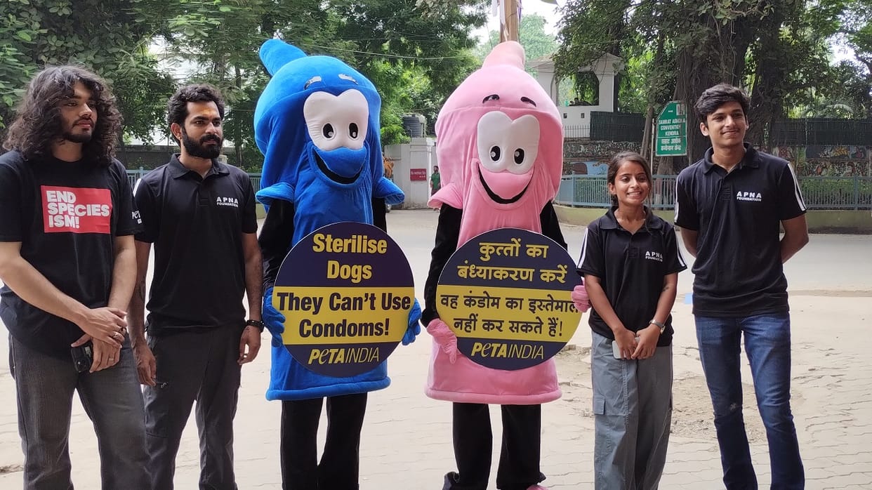 Bihar News: Measures necessary for birth control of animals, awareness campaign launched in Patna