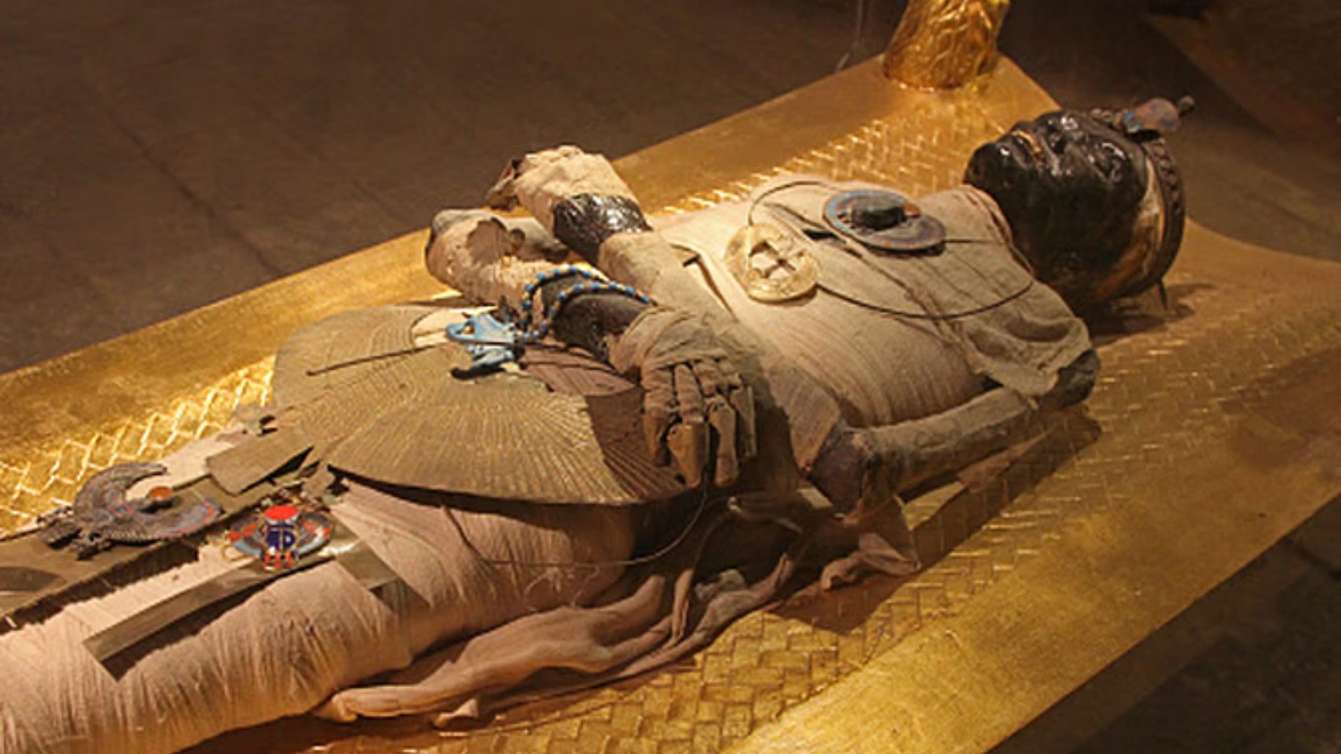 Egyptian Mummies: Could bacteria or viruses lurking in ancient Egyptian mummies unleash a plague today