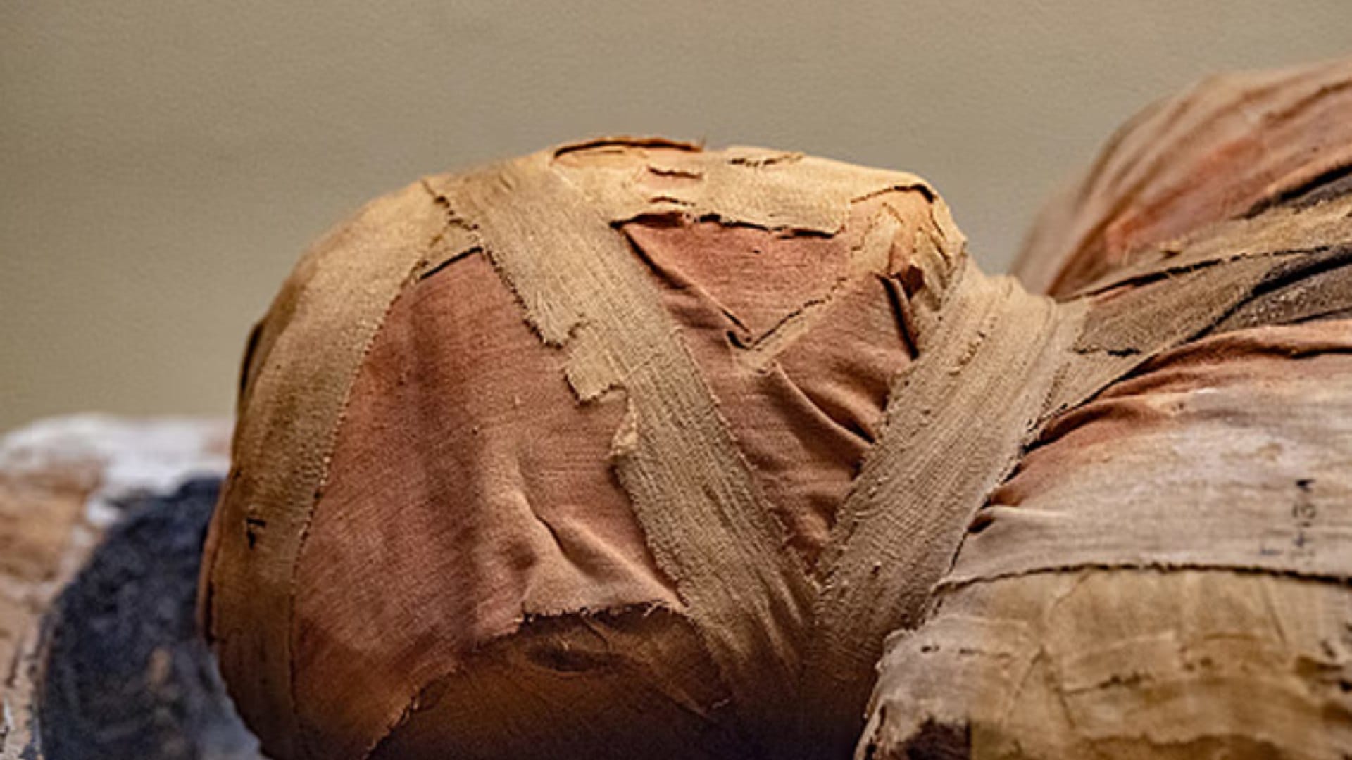 Egyptian Mummies: Could bacteria or viruses lurking in ancient Egyptian mummies unleash a plague today