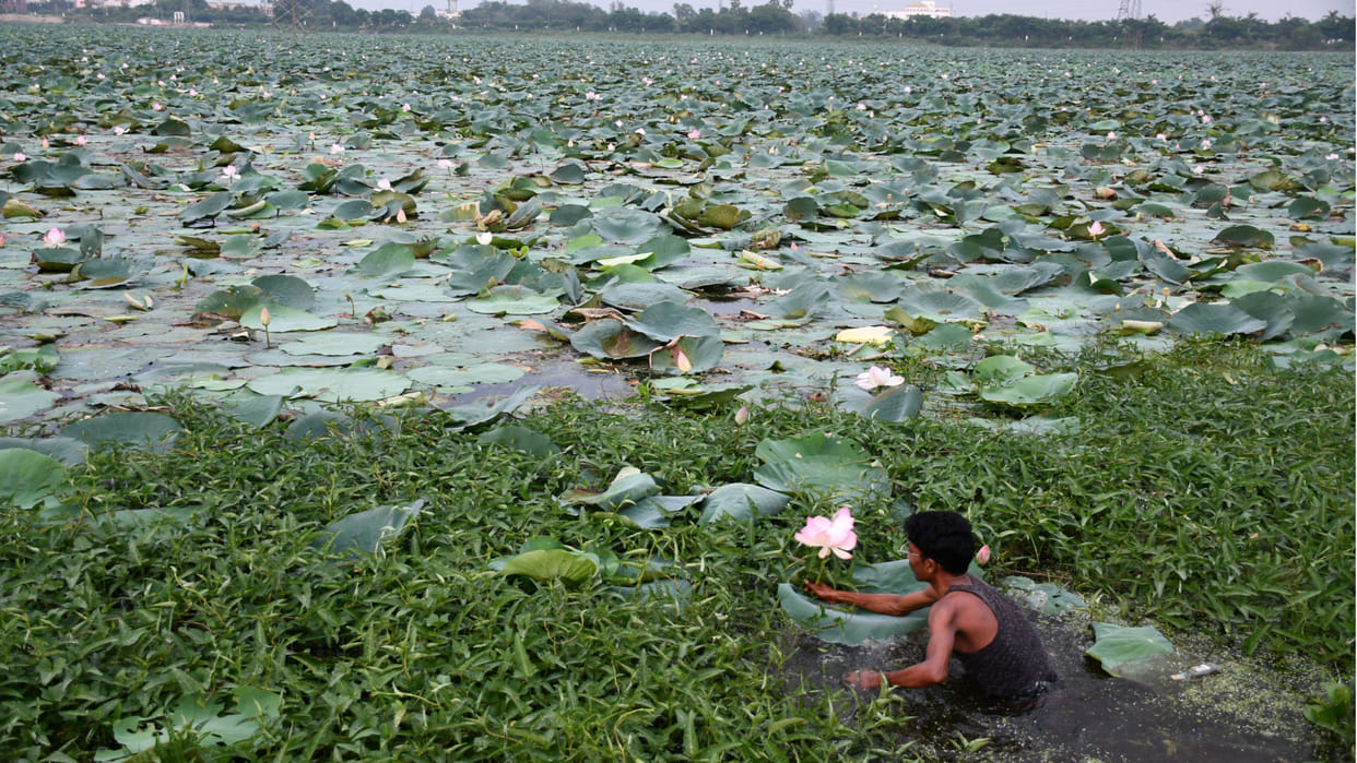 The lotus of Gorakshanagari is being offered to Shri Ram in Ayodhya and Bhole Baba in Kashi