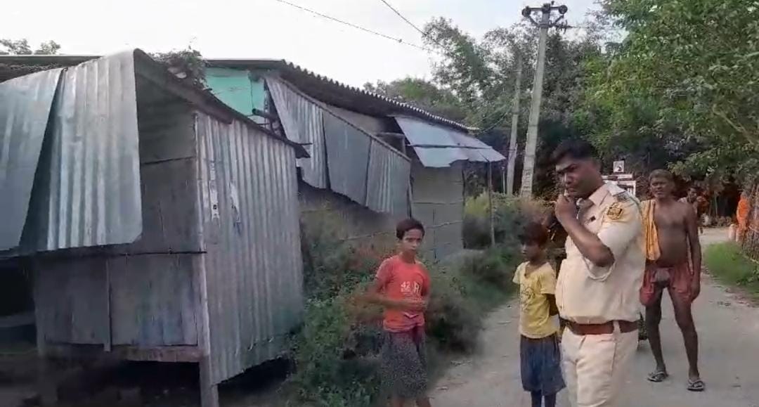 Bihar News: A woman cutting grass died after getting electrocuted