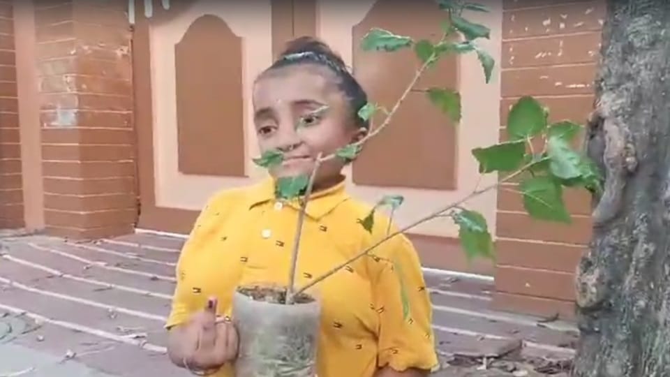 Jalandhar West By-Election 2024 Voting Live Updates Jalandhar up Chunav News