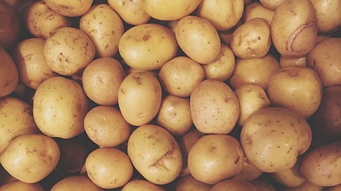 किसान आलू की इन किस्मो को उगाकर बढ़ा सकते है अच्छी आमदनी, विदेशो में है भारी मांग