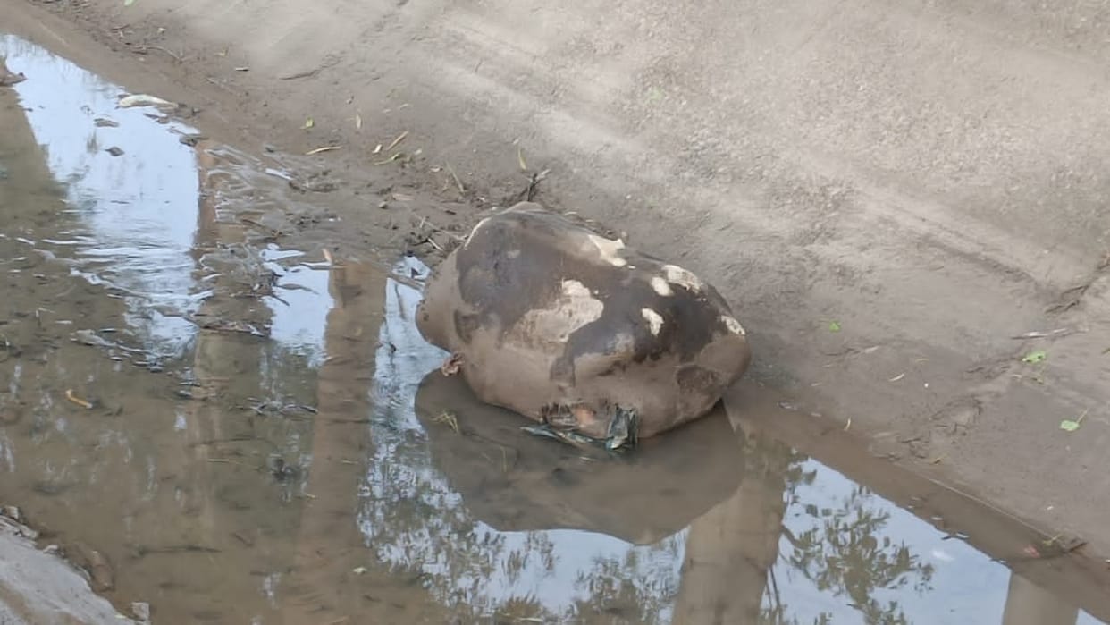 Body of unidentified woman found tied in sack in Hisar Bas, police investigated missing person reports