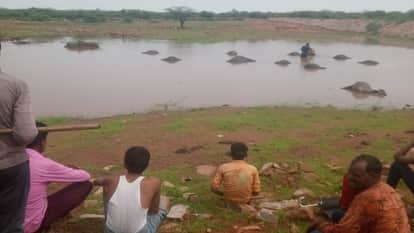 Morena News 13 buffaloes died due to lightning all buffaloes were sitting in pond