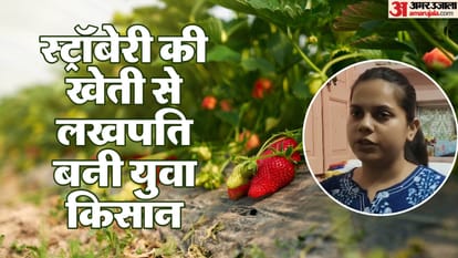 Farmer s daughter Mehak did an innovative experiment by cultivating strawberries